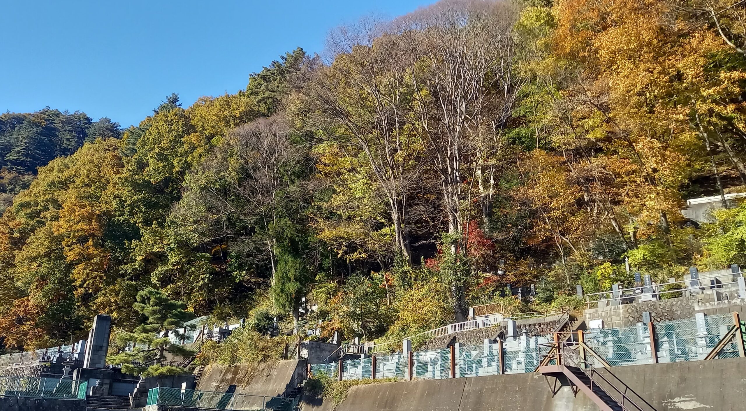 群馬県吾妻郡長野原町長野原73　雲林寺0279－82－2201